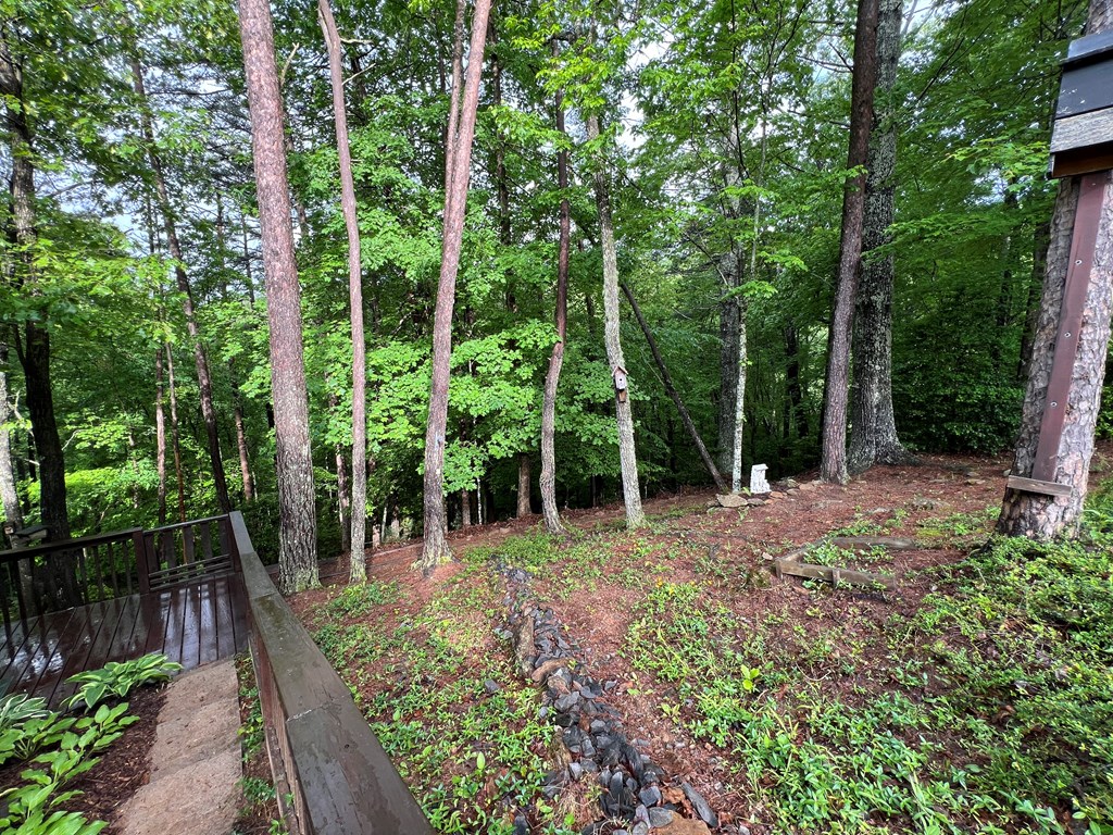 195 Kinwood Trail, MURPHY, North Carolina image 7