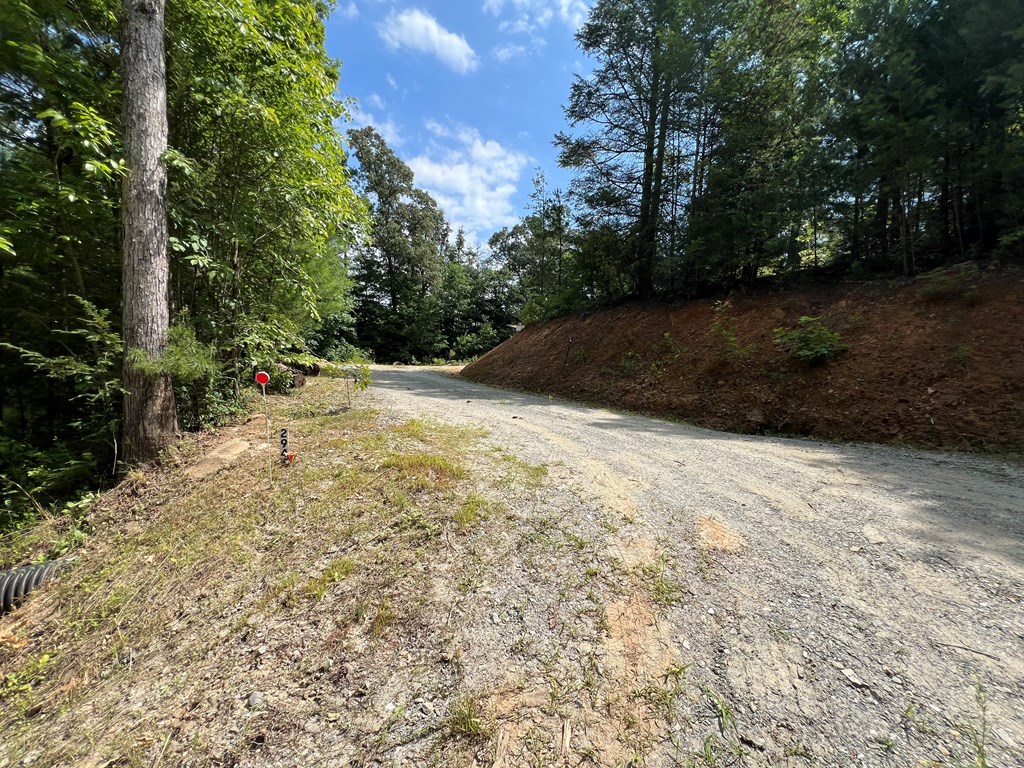 294 Pioneer Estates Road #9, MURPHY, North Carolina image 2