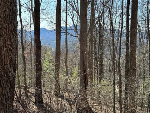 Vacant Land For Sale - LOT 80 Asheland Cove #80<br/> YOUNG HARRIS, GA 30582