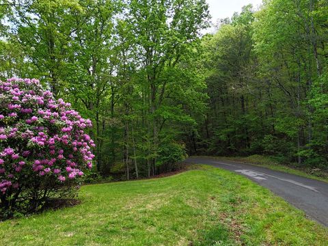 Vacant Land For Sale - L93-95 Timberline #93-95<br/> YOUNG HARRIS, GA 30582