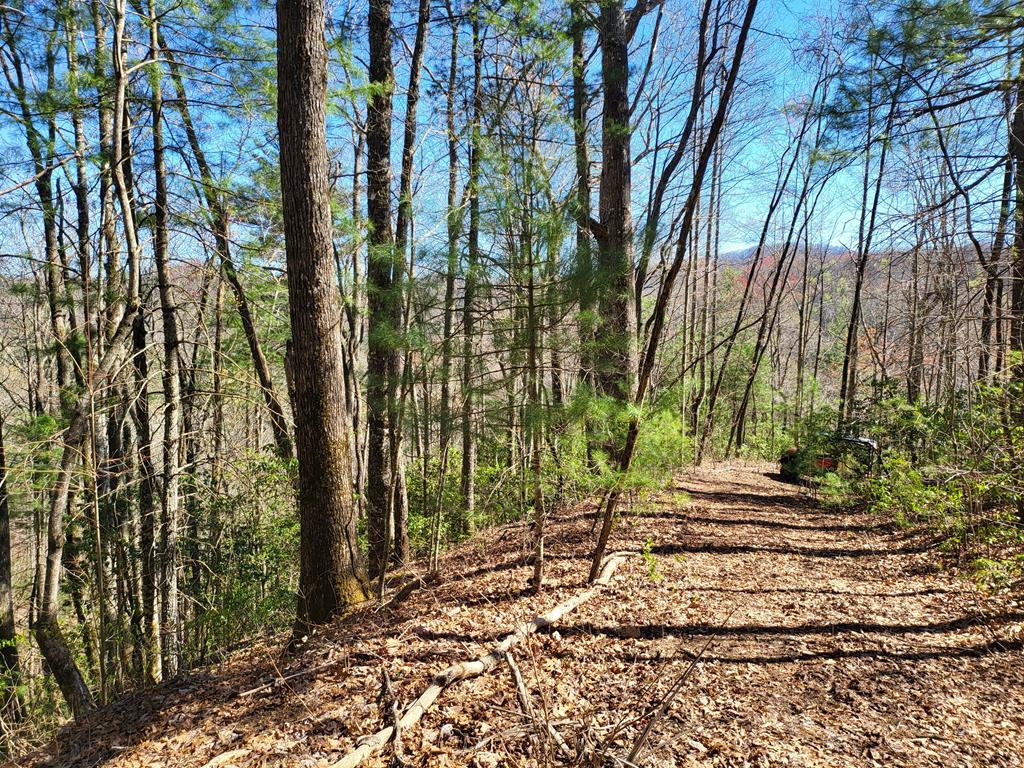 14-16 Huffman Creek #14-16, ROBBINSVILLE, North Carolina image 1