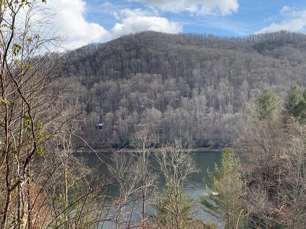 Photo 1 of 5 — LOT # 11 Forest Vista Lane, NANTAHALA, NC 28781