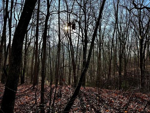 Vacant Land For Sale - 500 Scenic Vista Dr #39<br/> MURPHY, NC 28906