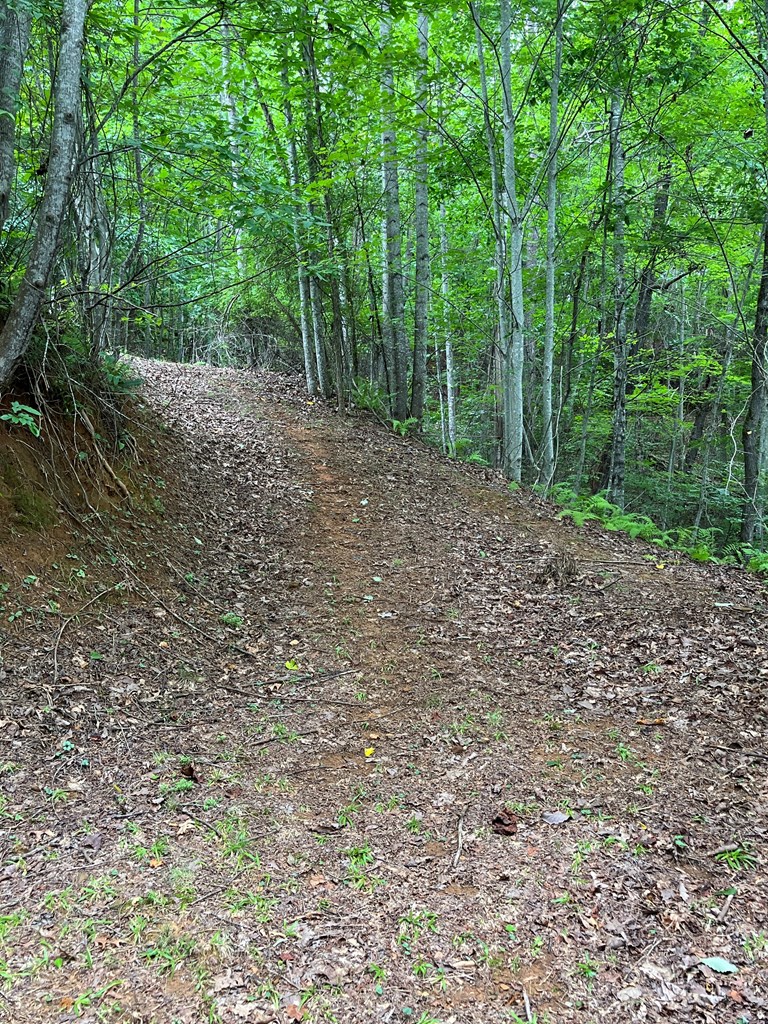 Lt 527-3 Farmers Top Drive - Photo 2