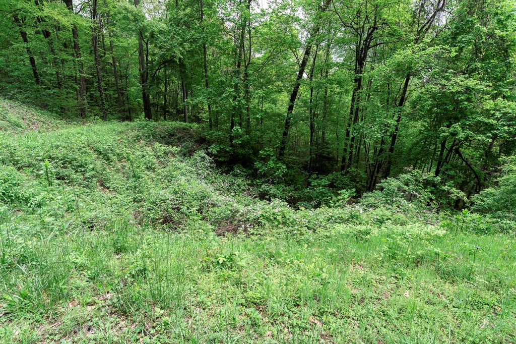 Lot 119 Outlook Road #119, MURPHY, North Carolina image 20