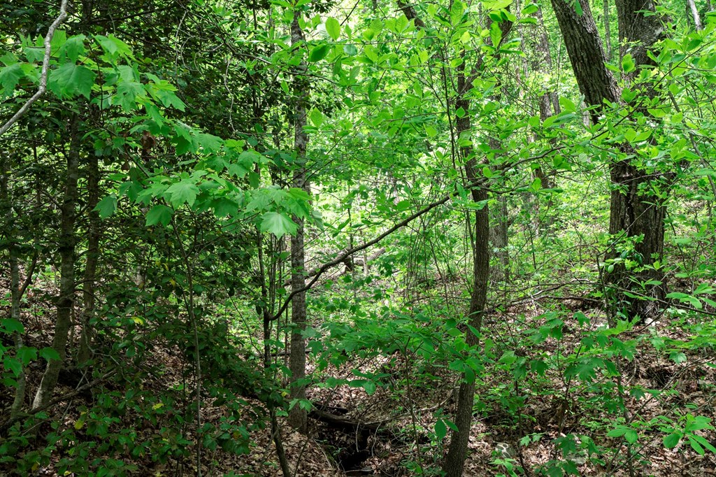 Lot 119 Outlook Road #119, MURPHY, North Carolina image 16