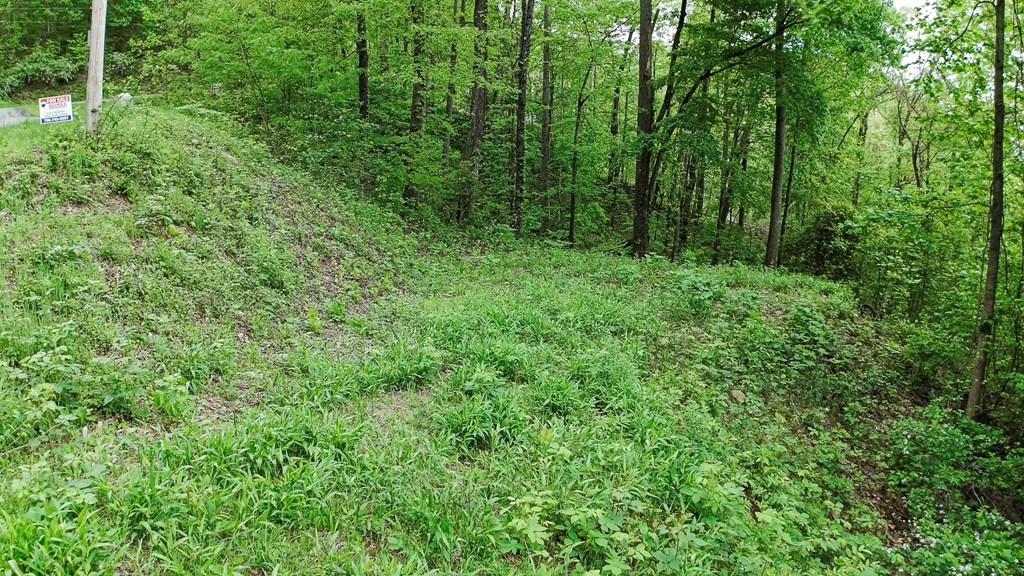 Lot 119 Outlook Road #119, MURPHY, North Carolina image 5
