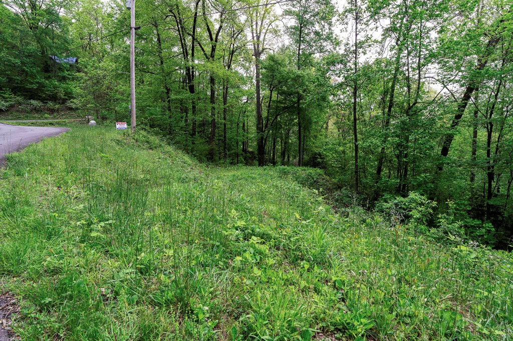 Lot 119 Outlook Road #119, MURPHY, North Carolina image 23