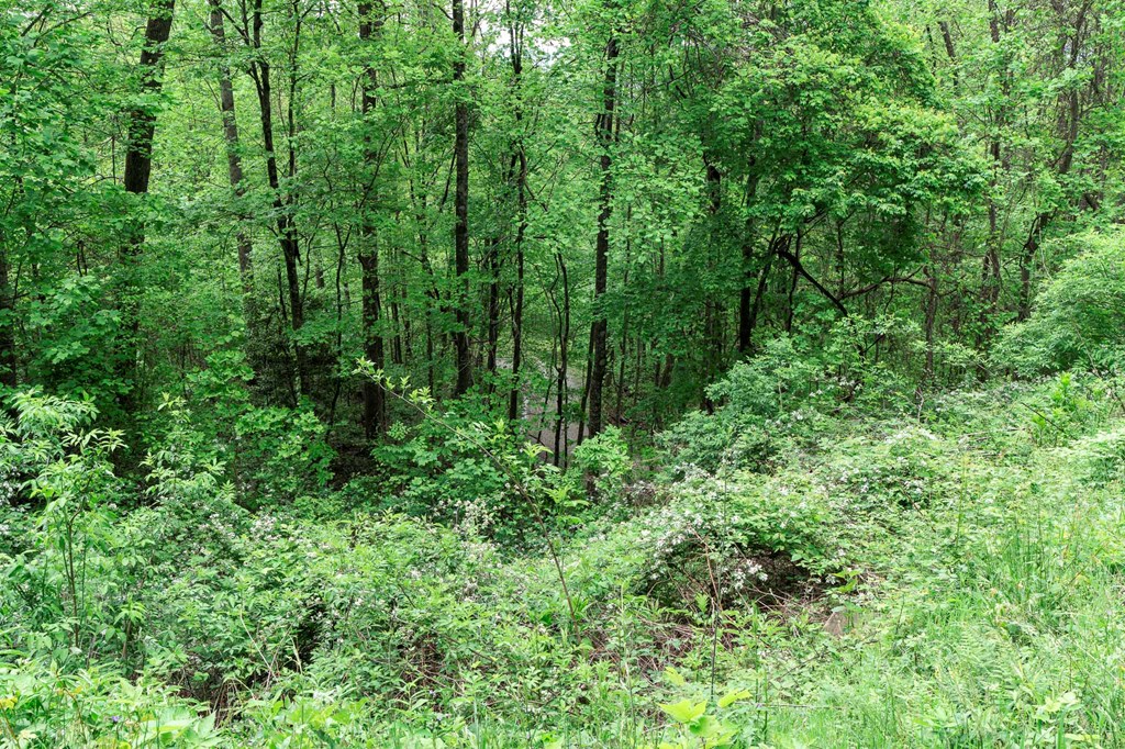 Lot 119 Outlook Road #119, MURPHY, North Carolina image 26