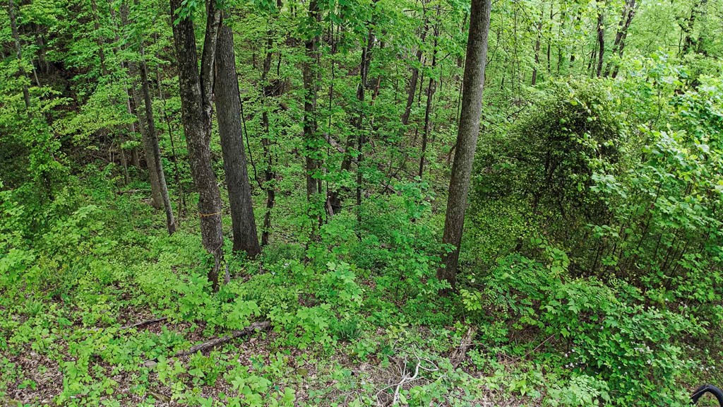 Lot 119 Outlook Road #119, MURPHY, North Carolina image 25