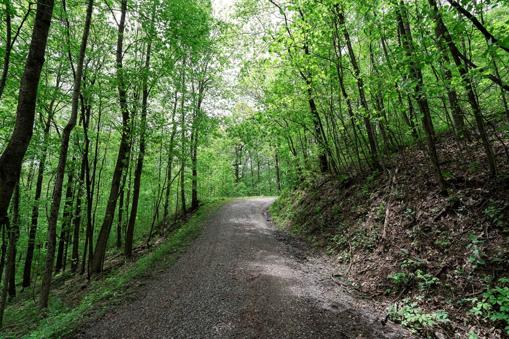 Lot 119 Outlook Road #119, MURPHY, North Carolina image 30