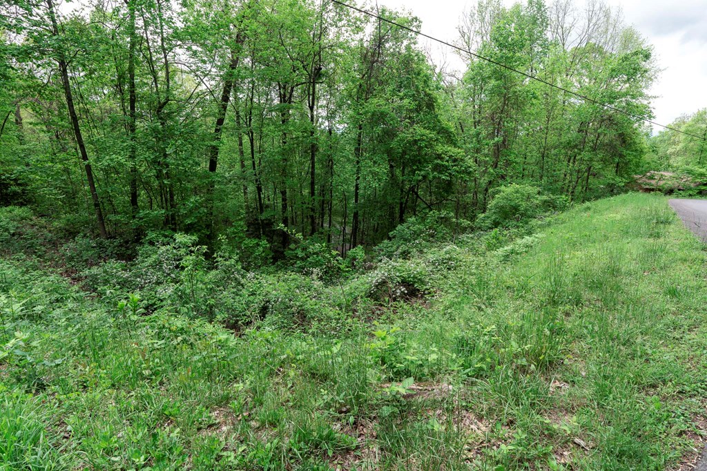 Lot 119 Outlook Road #119, MURPHY, North Carolina image 22