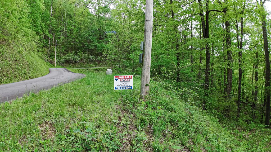 Lot 119 Outlook Road #119, MURPHY, North Carolina image 4