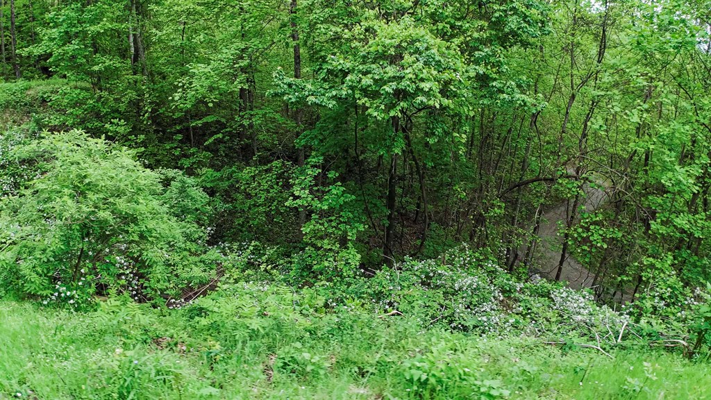 Lot 119 Outlook Road #119, MURPHY, North Carolina image 24