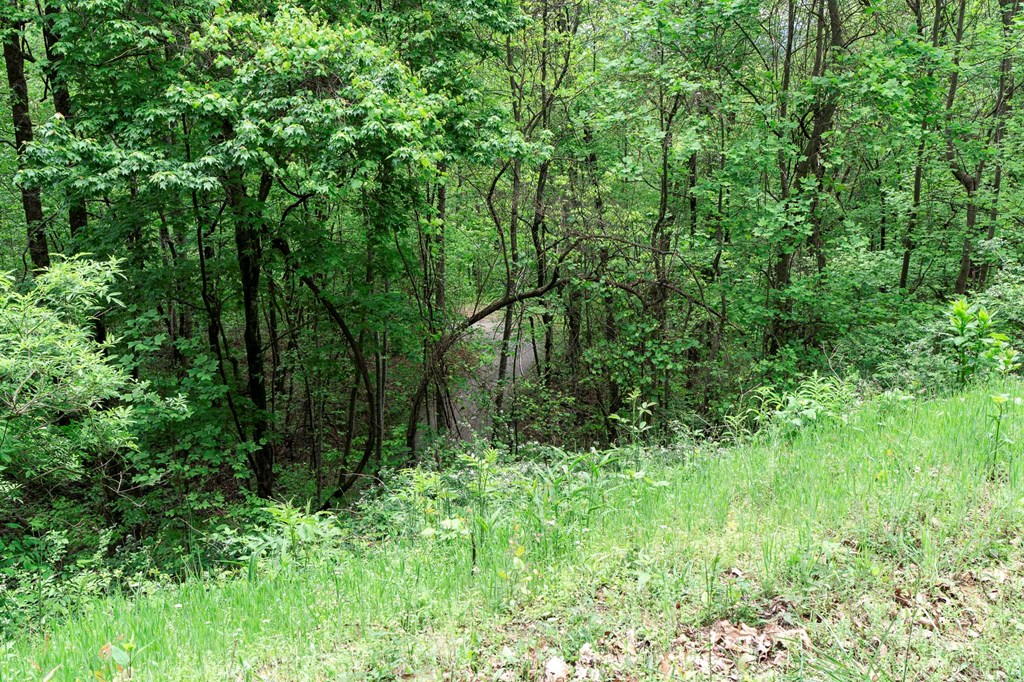 Lot 119 Outlook Road #119, MURPHY, North Carolina image 21