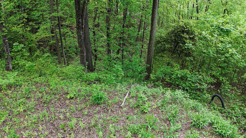 Lot 119 Outlook Road #119, MURPHY, North Carolina image 27