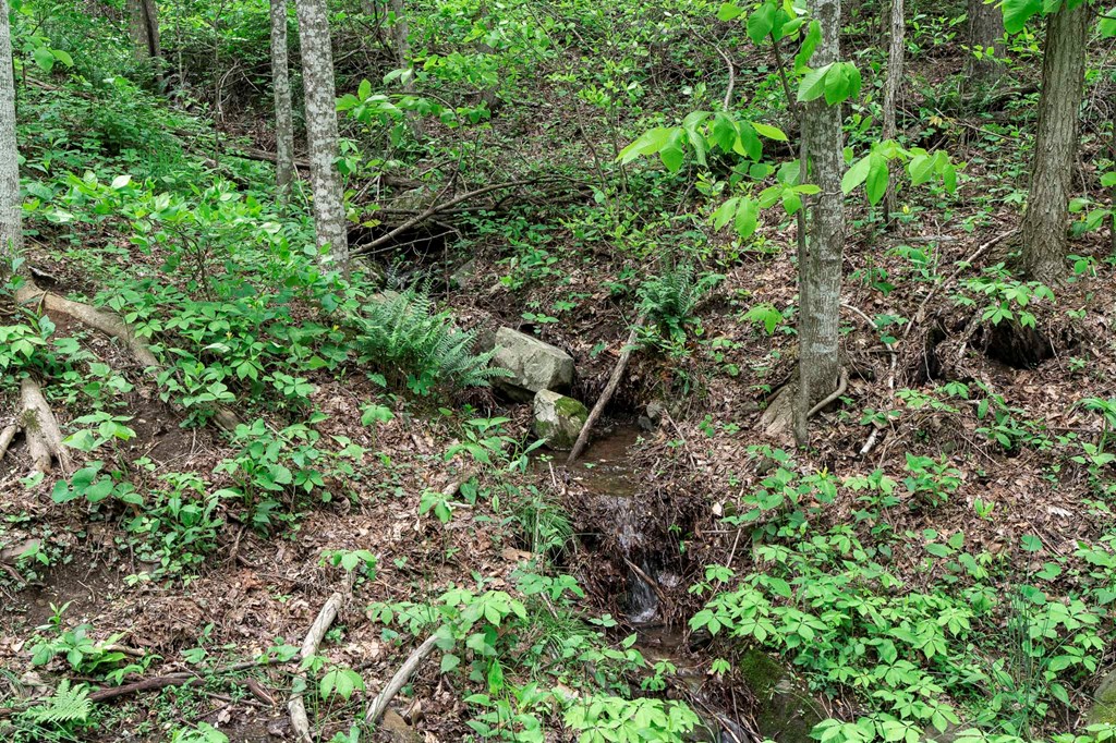 Lot 119 Outlook Road #119, MURPHY, North Carolina image 18