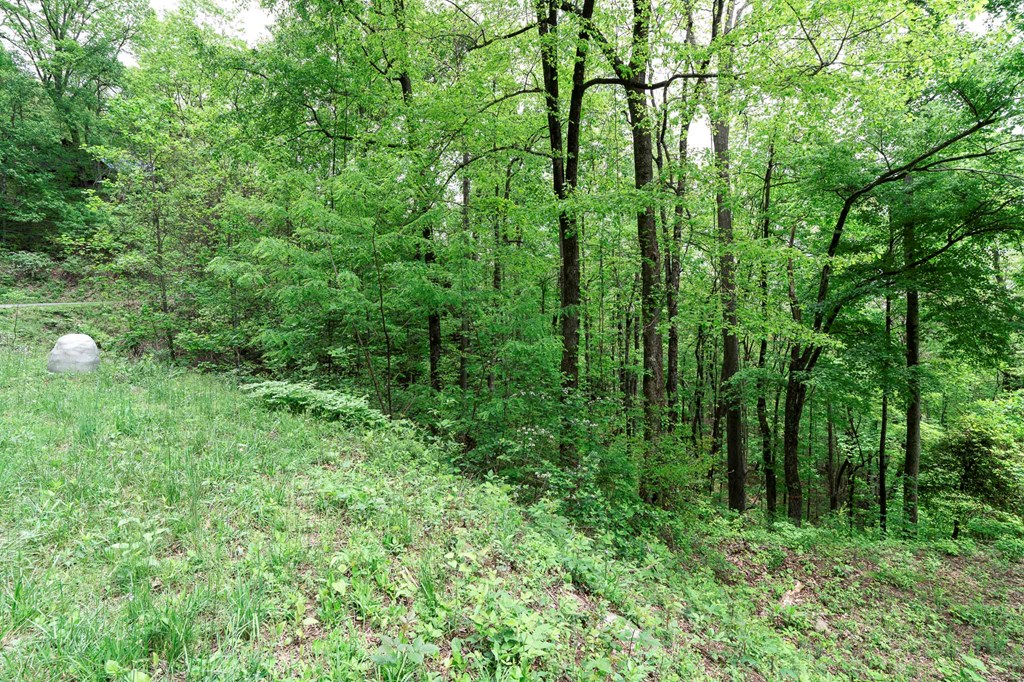 Lot 119 Outlook Road #119, MURPHY, North Carolina image 19