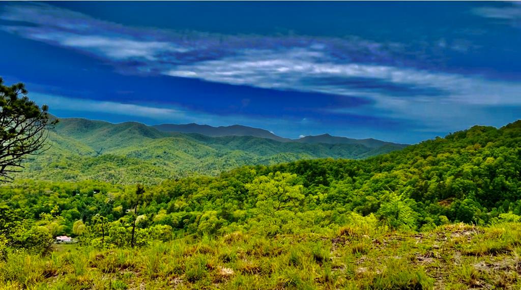 25 Marr Heights #25, BRYSON CITY, North Carolina image 1