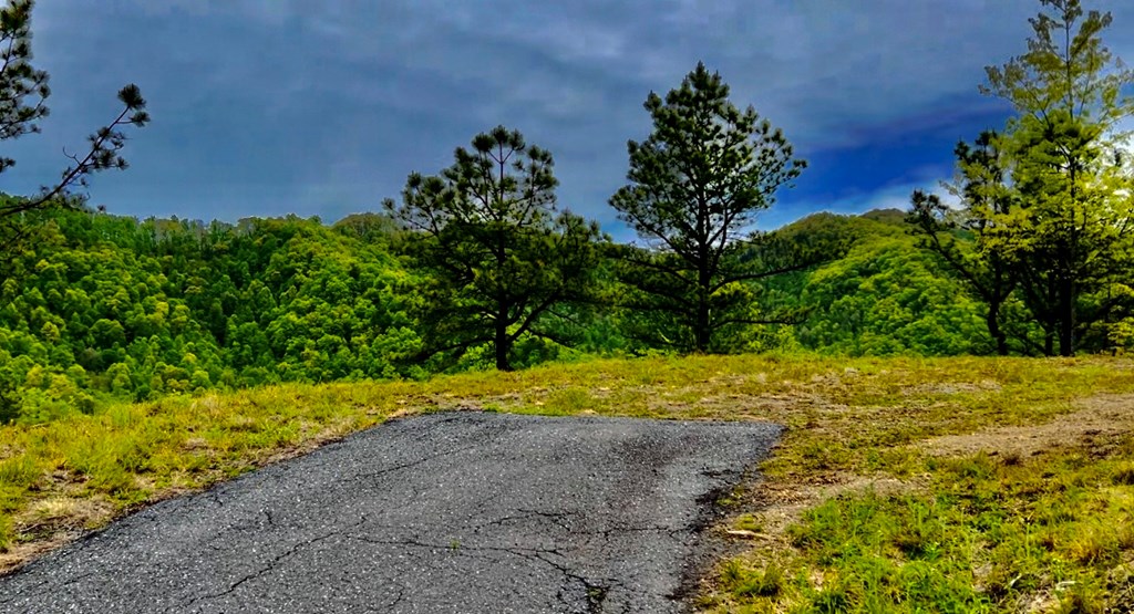 25 Marr Heights #25, BRYSON CITY, North Carolina image 8