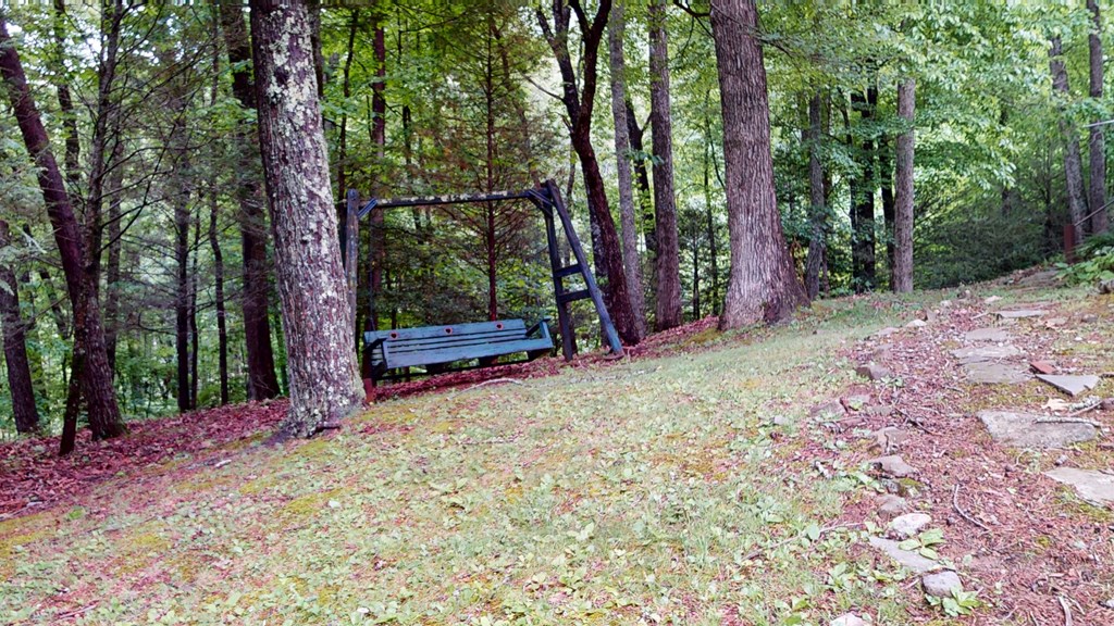 398 Outlook Rd, MURPHY, North Carolina image 45