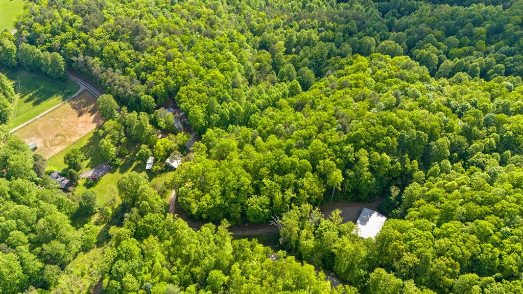 TBD Eagles Nest Trail, MURPHY, North Carolina image 10