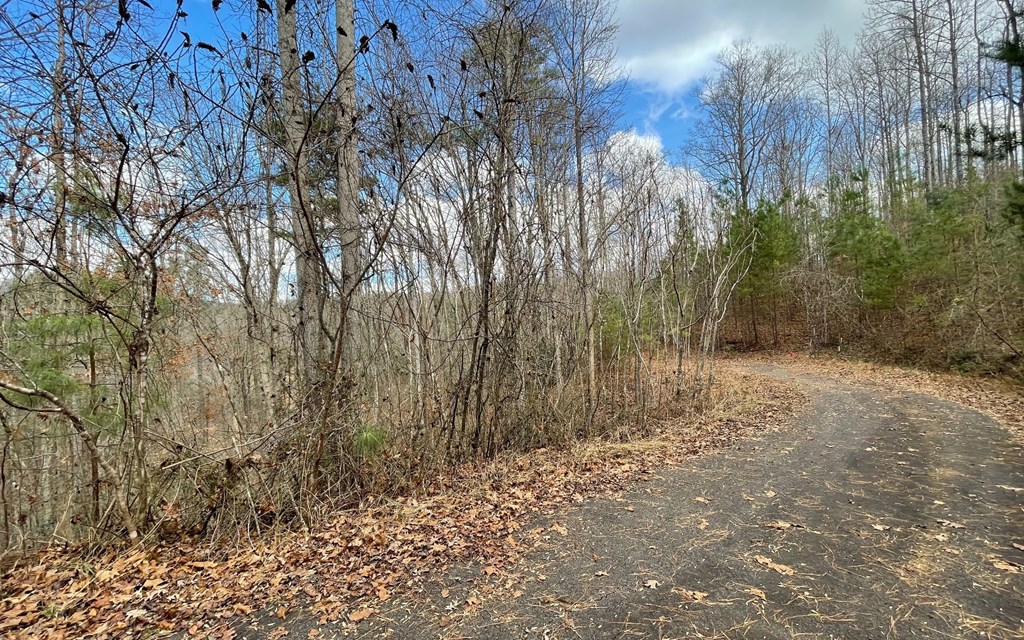 Lot 64 Meadow Brooke Ph Ii #64, YOUNG HARRIS, Georgia image 36