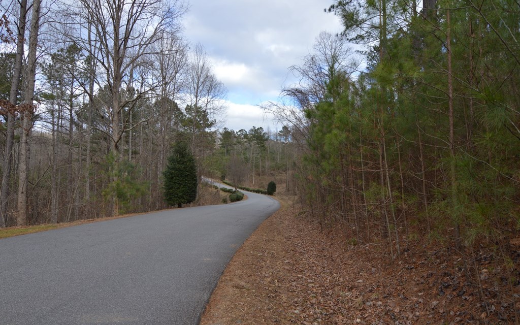 Lot 64 Meadow Brooke Ph Ii #64, YOUNG HARRIS, Georgia image 27