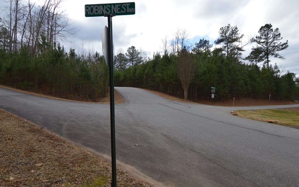 Lot 64 Meadow Brooke Ph Ii #64, YOUNG HARRIS, Georgia image 37