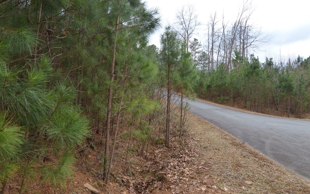 Lot 64 Meadow Brooke Ph Ii #64, YOUNG HARRIS, Georgia image 4