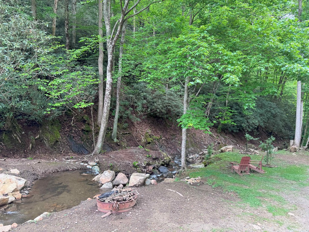 21804 Us Hwy 19, ANDREWS, North Carolina image 21