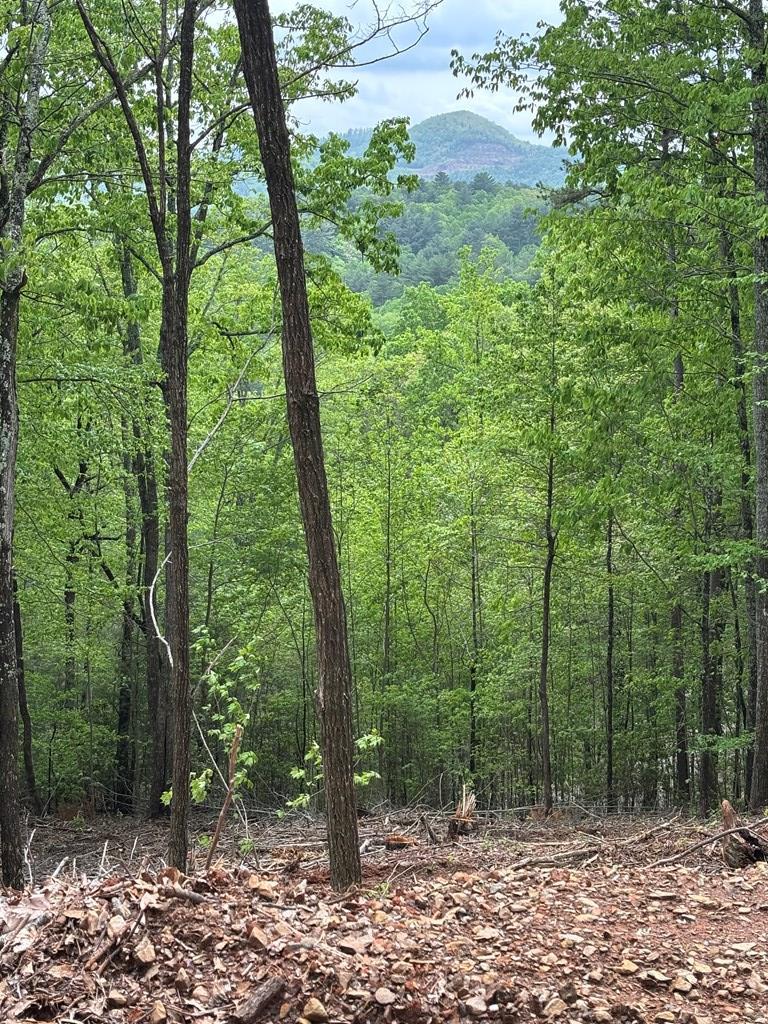Lot 4-25 Sahkanga Dr #4-25, MURPHY, North Carolina image 2