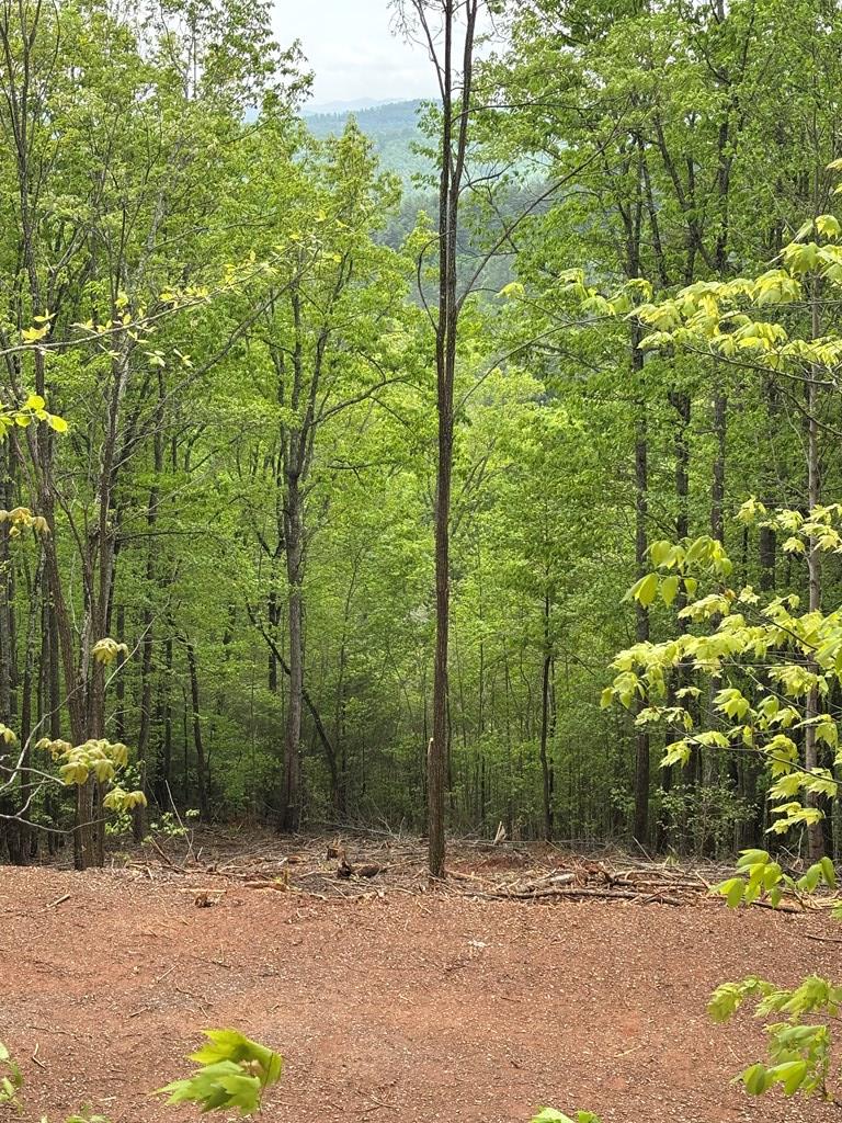 Lot 4-25 Sahkanga Dr #4-25, MURPHY, North Carolina image 1