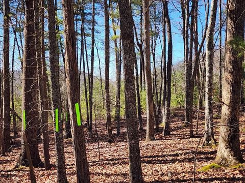 Vacant Land For Sale - LOT17 Gray Grouse Trl #17<br/> MURPHY, NC 28906