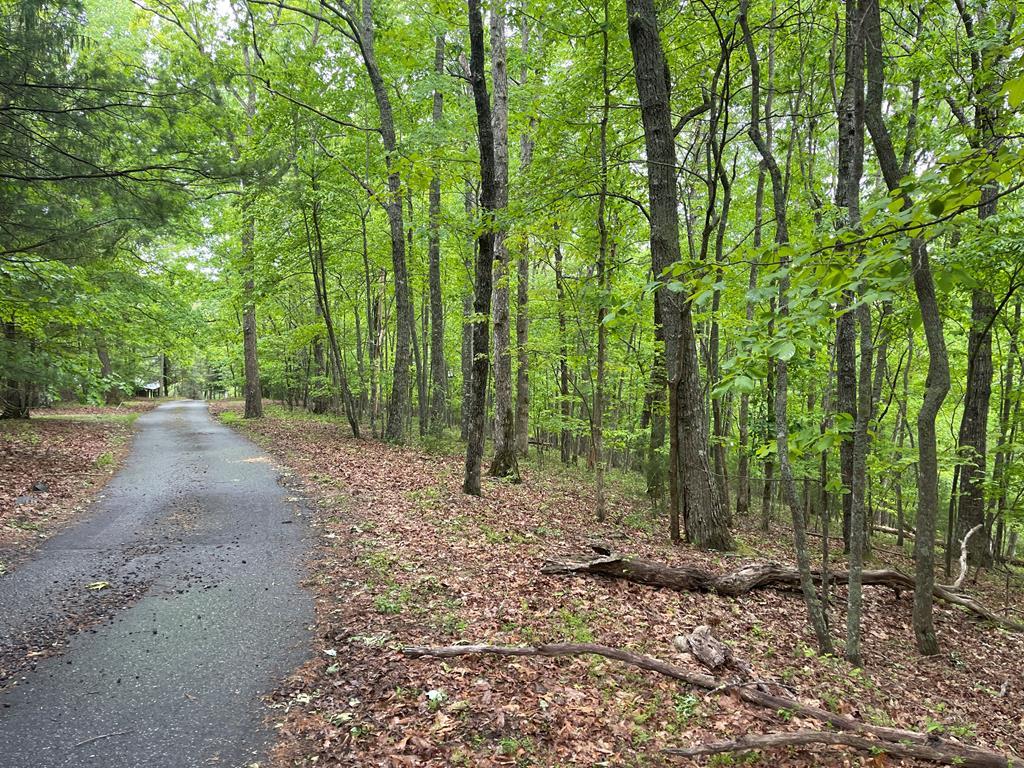 00 High Ridge Road #1516, MURPHY, North Carolina image 5