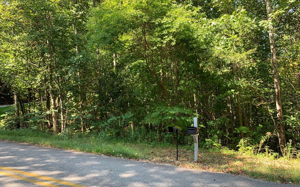 Lot 26 Lake Forest Estates #26, HIAWASSEE, Georgia image 16