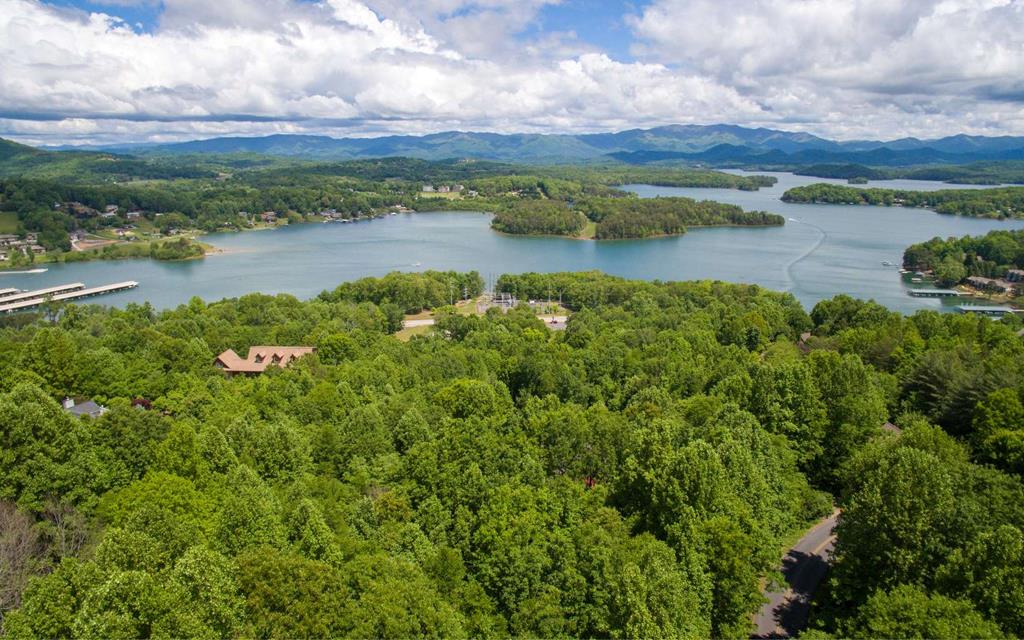 Lot 26 Lake Forest Estates #26, HIAWASSEE, Georgia image 1