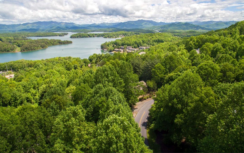 Lot 26 Lake Forest Estates #26, HIAWASSEE, Georgia image 3