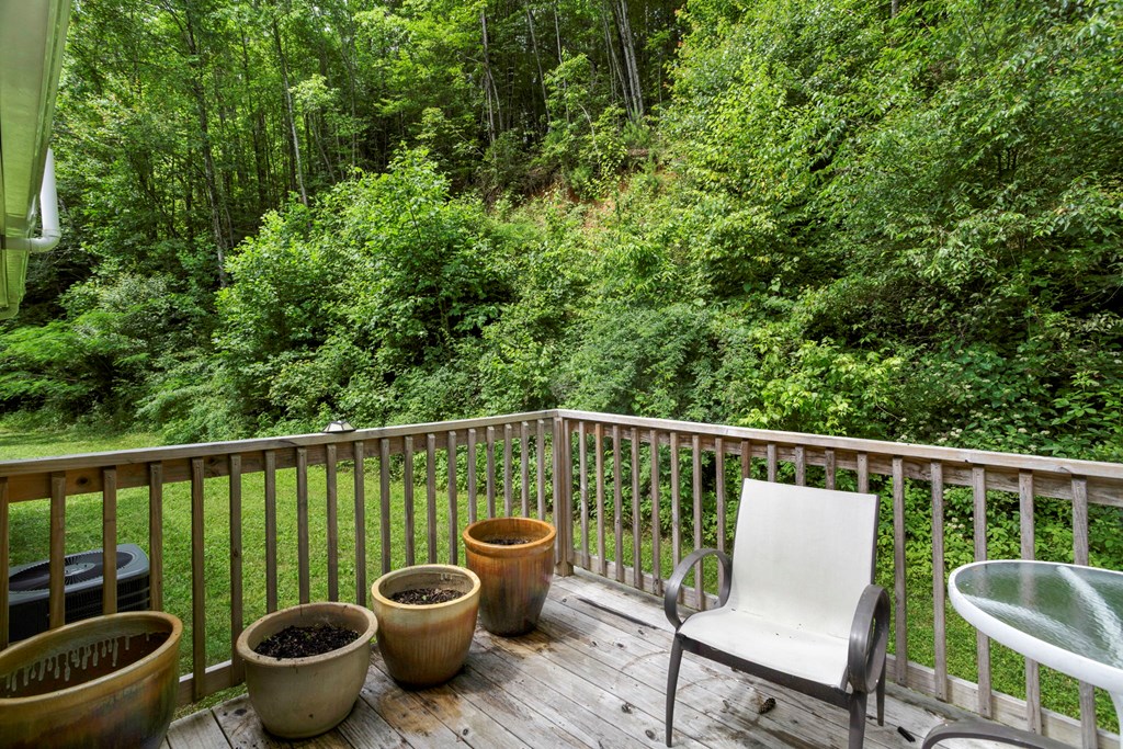 5975 Joe Brown Hwy, MURPHY, North Carolina image 36