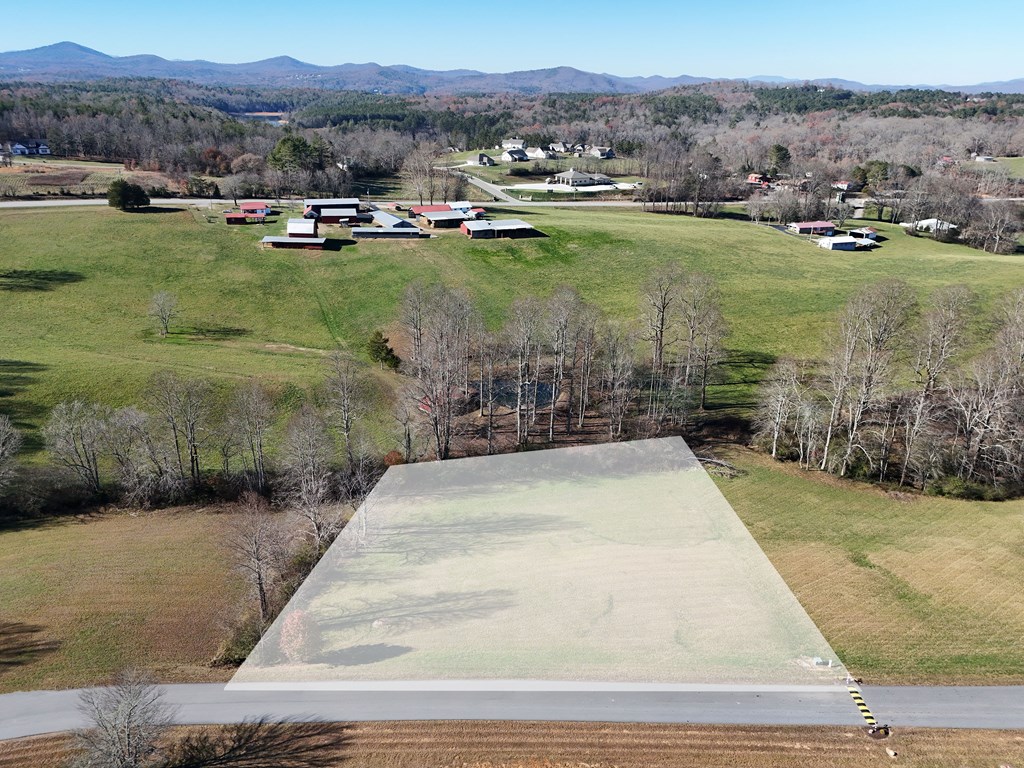 Lot 115 Owen Glen #115, BLAIRSVILLE, Georgia image 14