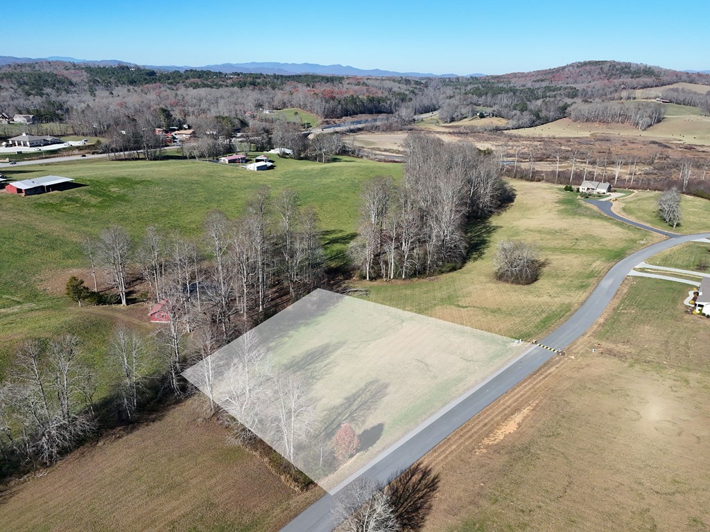 Lot 115 Owen Glen #115, BLAIRSVILLE, Georgia image 21