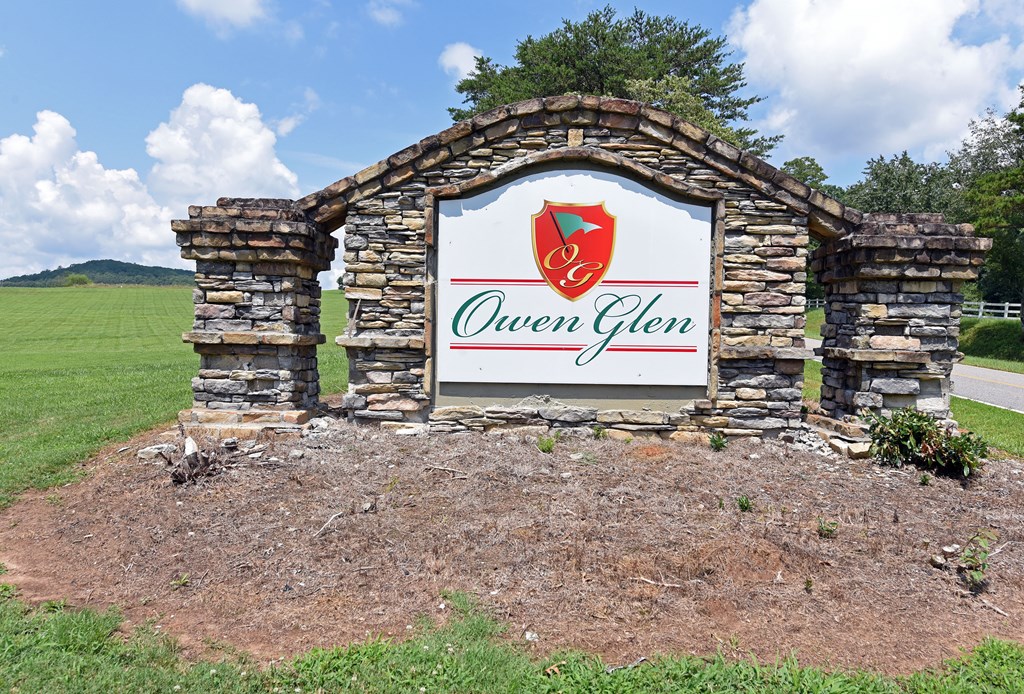 Lot 115 Owen Glen #115, BLAIRSVILLE, Georgia image 26