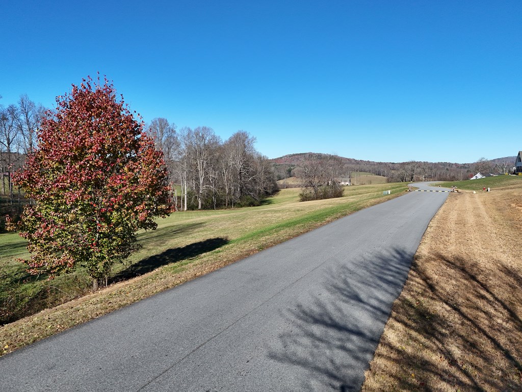 Lot 115 Owen Glen #115, BLAIRSVILLE, Georgia image 2