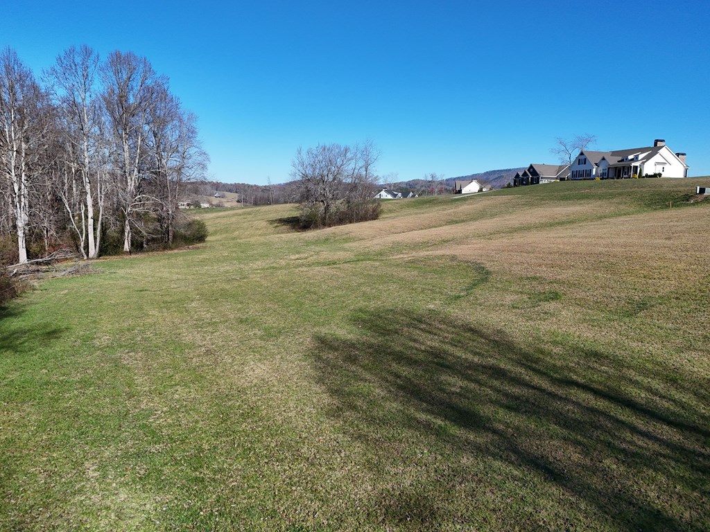 Lot 115 Owen Glen #115, BLAIRSVILLE, Georgia image 11