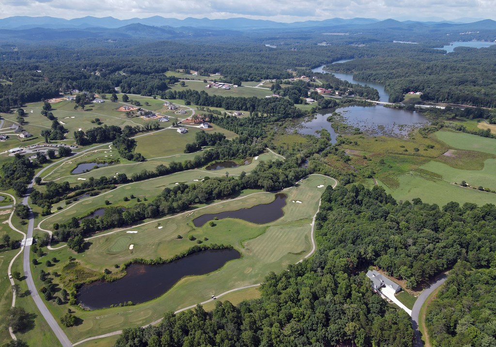 Lot 115 Owen Glen #115, BLAIRSVILLE, Georgia image 35