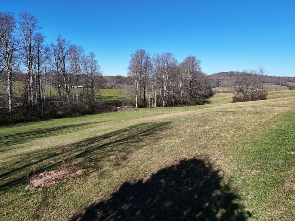 Lot 115 Owen Glen #115, BLAIRSVILLE, Georgia image 4