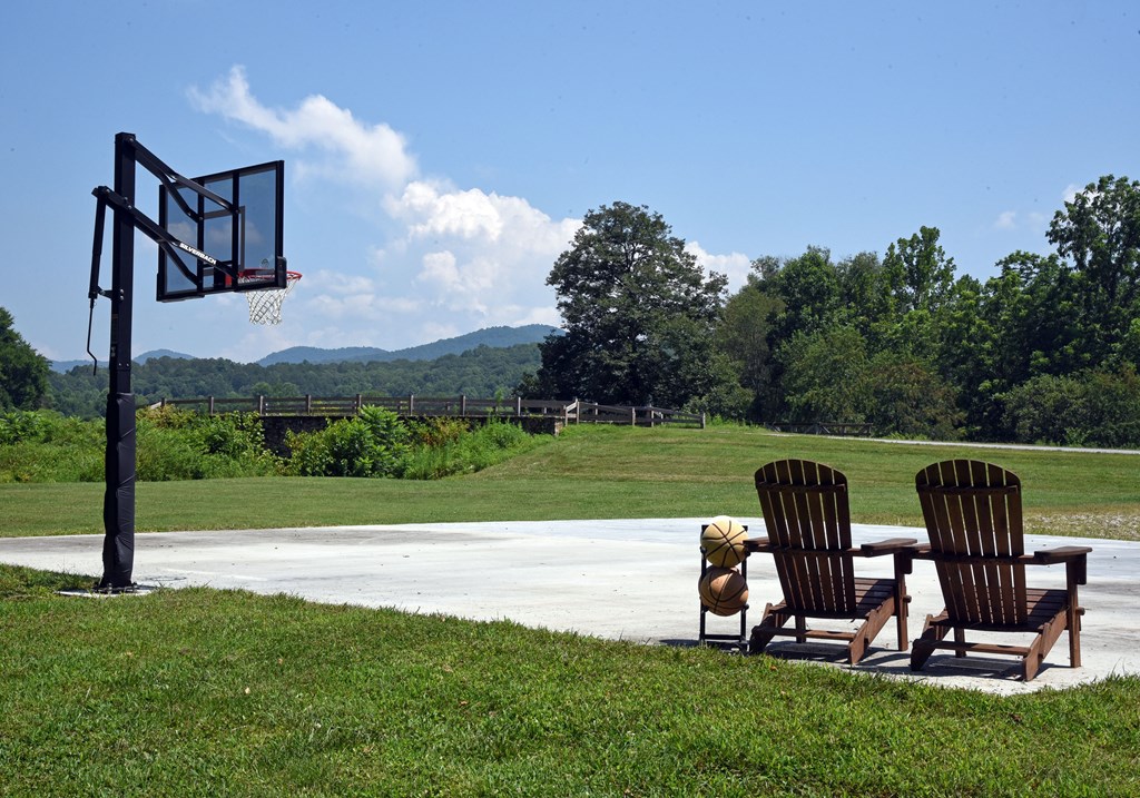 Lot 115 Owen Glen #115, BLAIRSVILLE, Georgia image 33