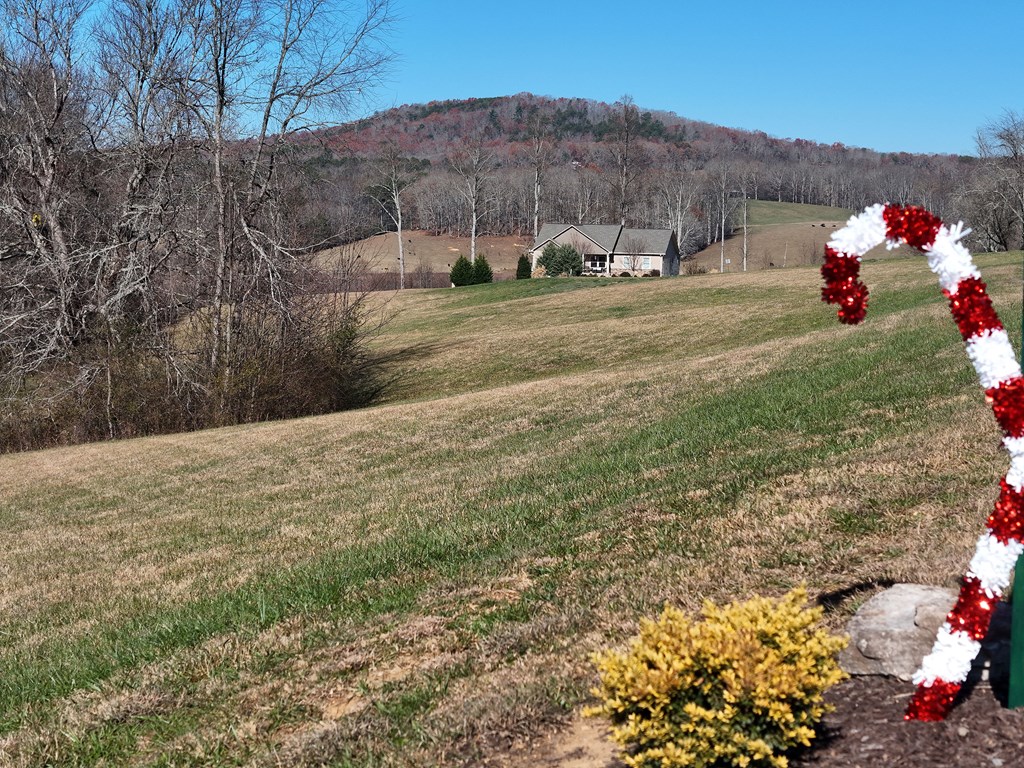 Lot 115 Owen Glen #115, BLAIRSVILLE, Georgia image 7