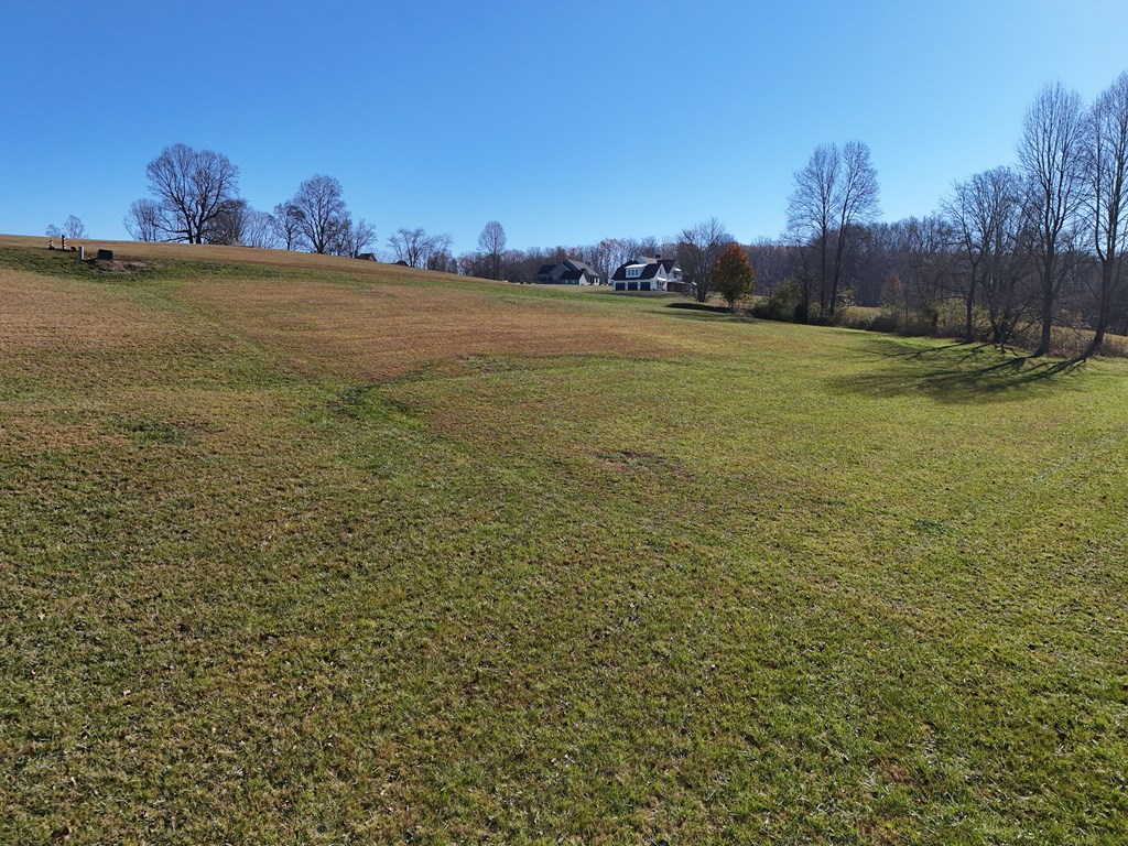 Lot 115 Owen Glen #115, BLAIRSVILLE, Georgia image 10