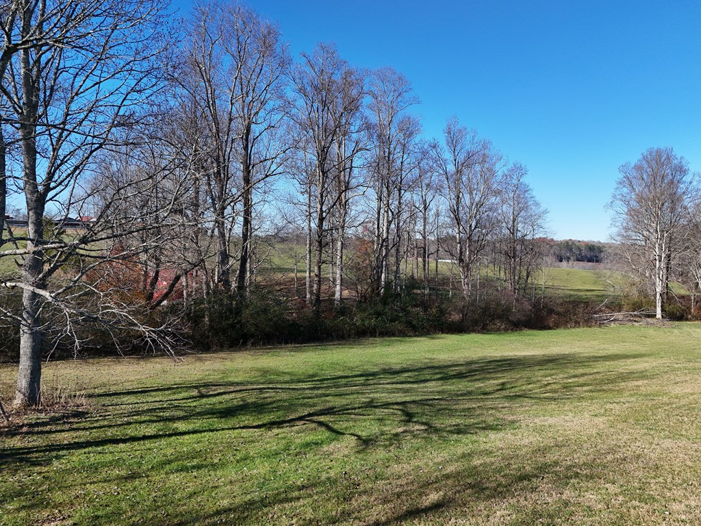 Lot 115 Owen Glen #115, BLAIRSVILLE, Georgia image 8